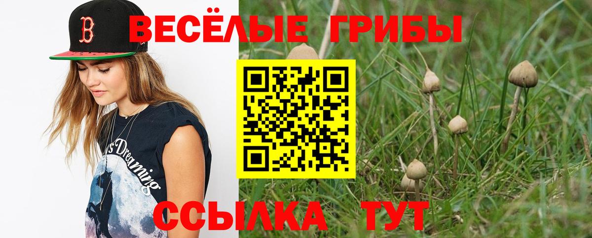 Псилоцибиновые грибы ЛСД Мариинск